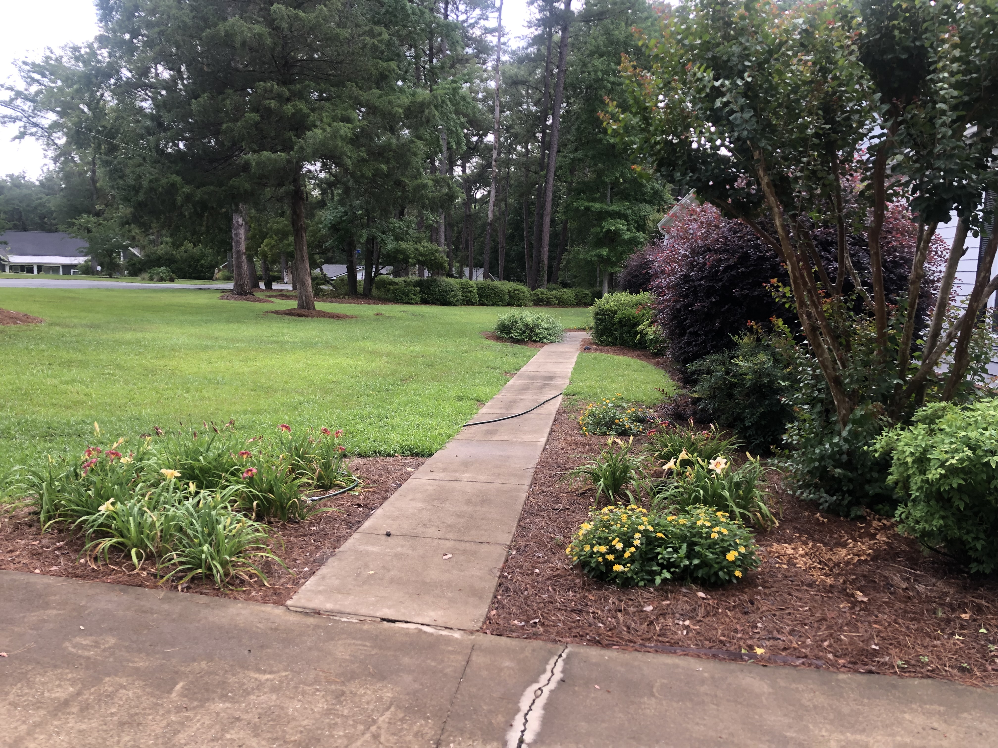 Walkway & Concrete Cleaning