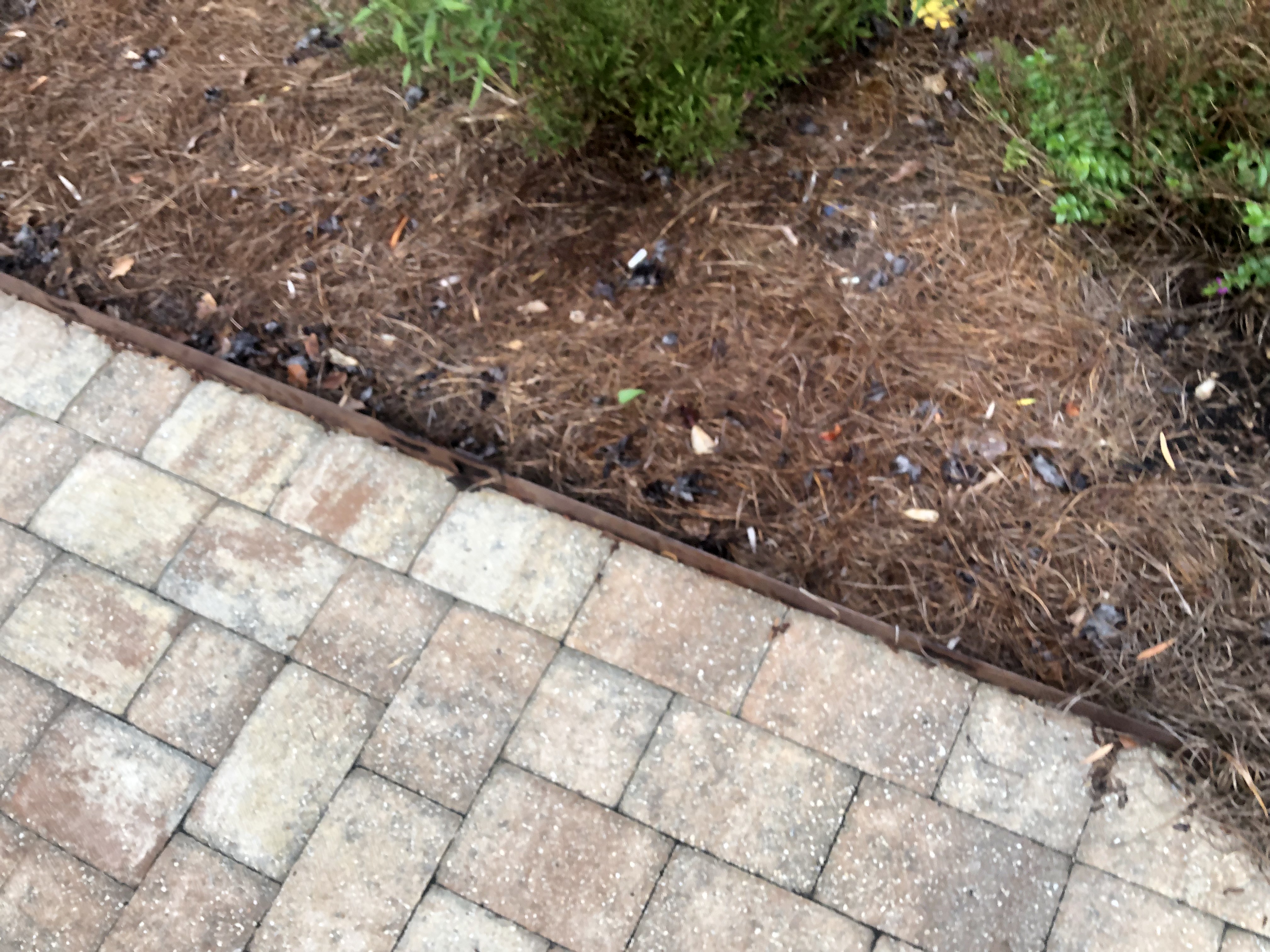 Paver Edge Detail